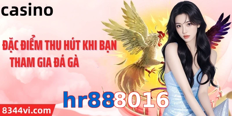 hr888016